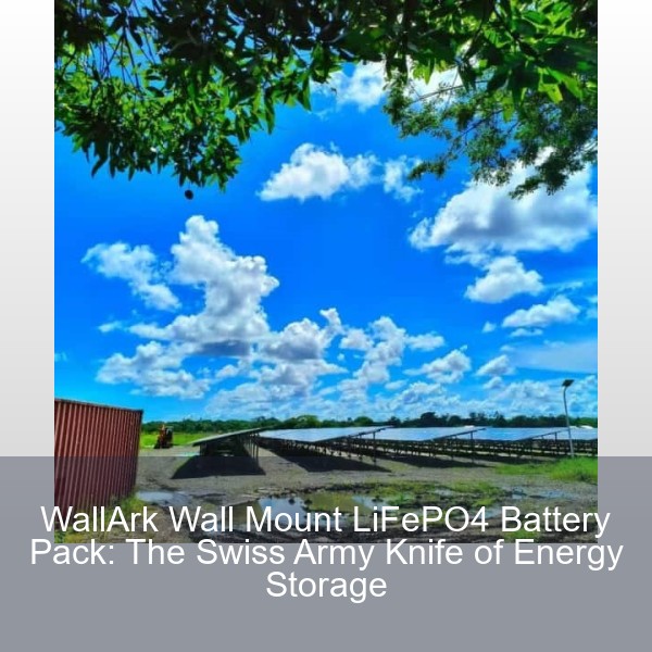 WallArk Wall Mount LiFePO4 Battery Pack: The Swiss Army Knife of Energy Storage